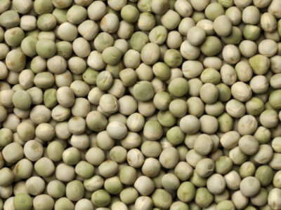 Pea Seed (5 lbs)
